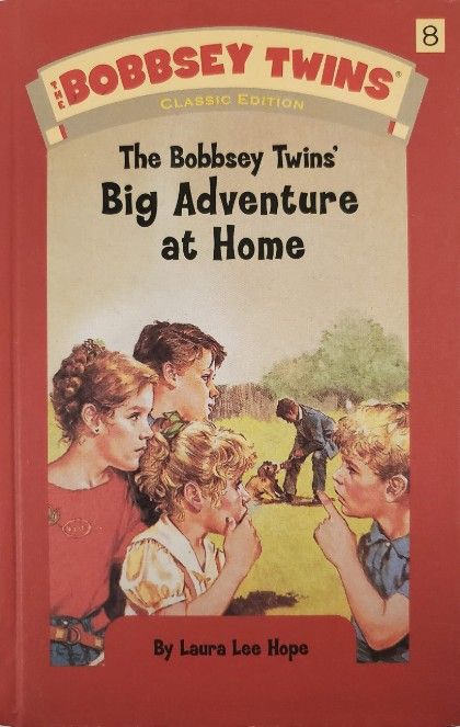 The Bobbsey Twins at Home