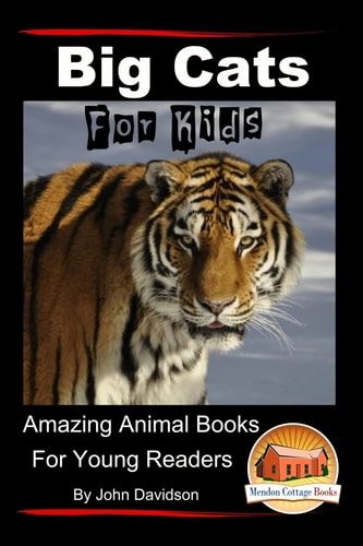 Big Cats for Kids