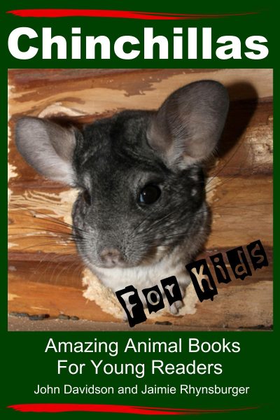 Chinchillas for Kids