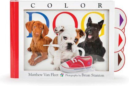 Color Dog