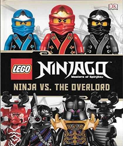 Ninja vs. the Overlord